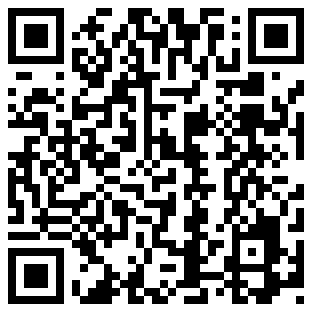 QR Code for Top Ten Gift Ideas - 315