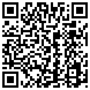 QR Code for Top Ten Gift Ideas - 316