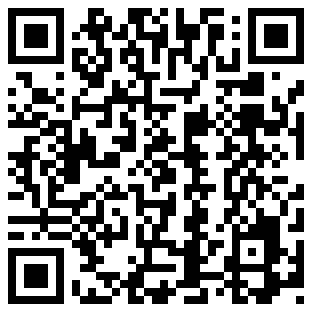 QR Code for Top Ten Gift Ideas - 317