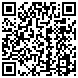 QR Code for Top Ten Gift Ideas - 318