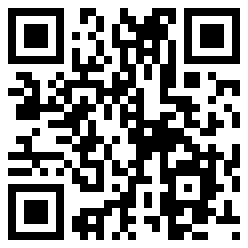 flashlite4se.com