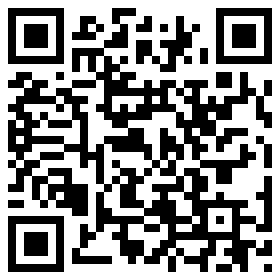 qrcode für Kingston DTMAX/256GB