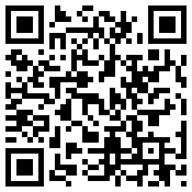 qrcode für Intenso International 7344024
