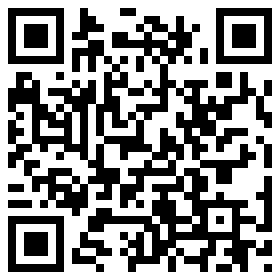 qrcode für Intenso International 7344031