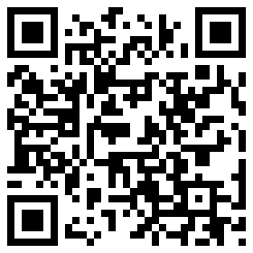 qrcode für IBF  GMBH 4541333 (541333)