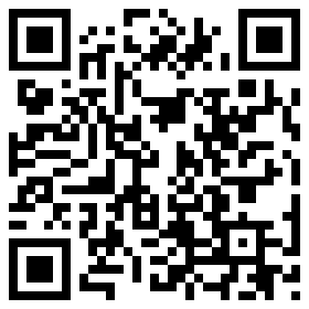 qrcode für PNY P-SDU256V32200PEP-GE