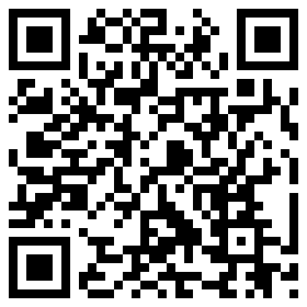 qrcode für Intenso International 7344023