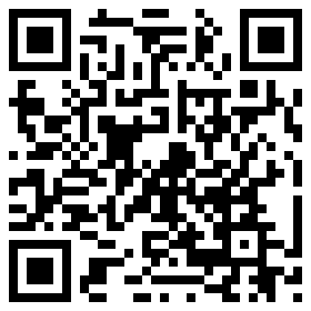 qrcode für LENOVO TP X12 DETACH G2 2 FOLIO KEYB - 4Y41R69518